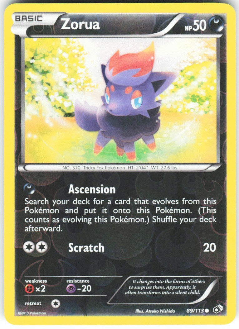 Chaos Sort CS-0424-034: forside