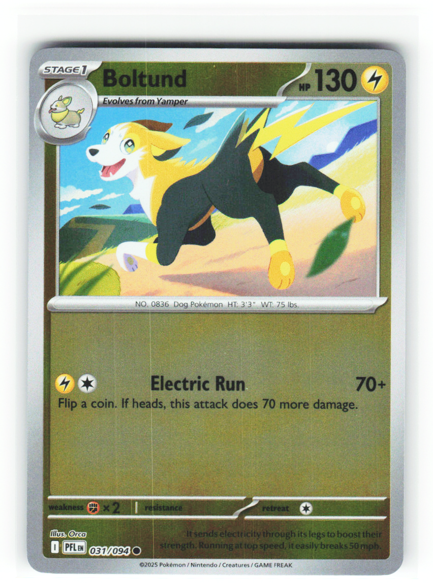 Boltund 031/094 - Phantasmal Flames - NM (ID: 53133548804909) - front