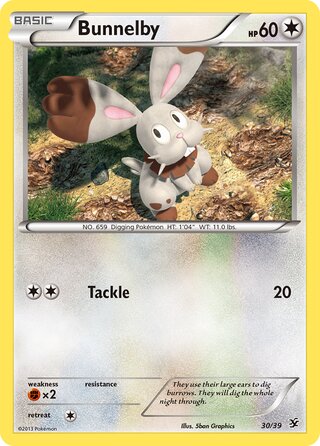 Bunnelby 30/39 - XY Starter Set