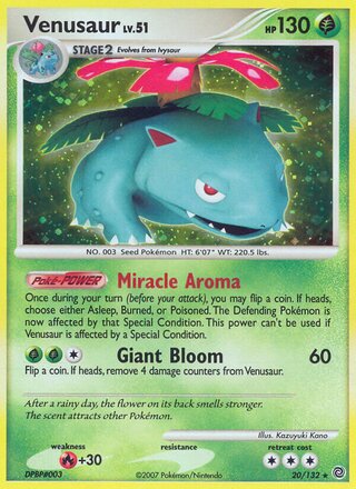Venusaur 20/132 - Secret Wonders