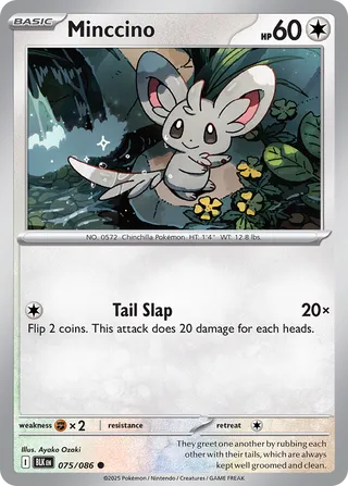 Minccino 075/086 - Black Bolt