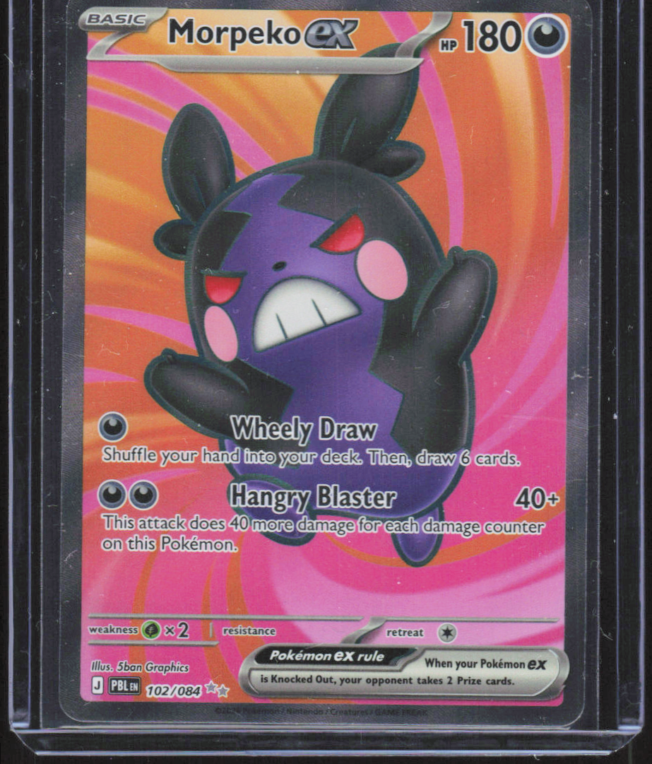 Chaos Sort CS-0266-173: forside