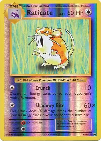 Raticate 67/108 - Evolutions
