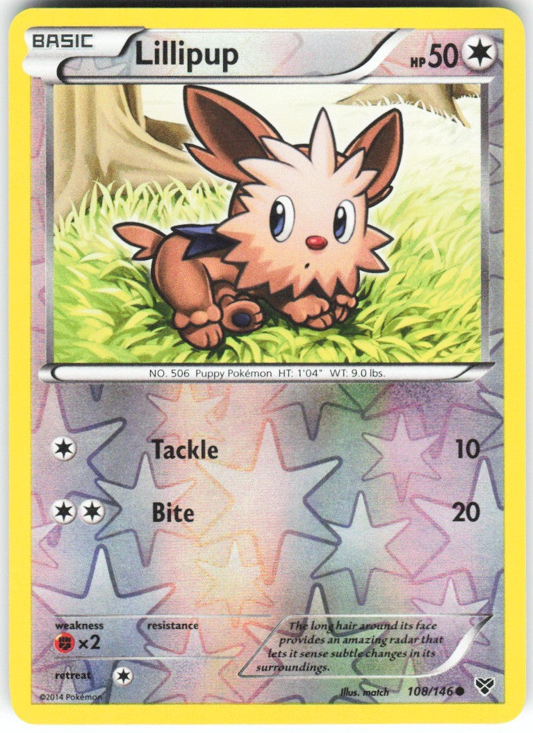 Chaos Sort CS-0424-060: forside