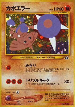 Hitmontop No. 038 - Crossing the Ruins...