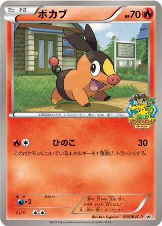 Tepig - Black & White Promos