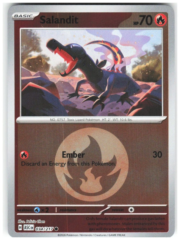 Chaos Sort CS-0356-012: forside