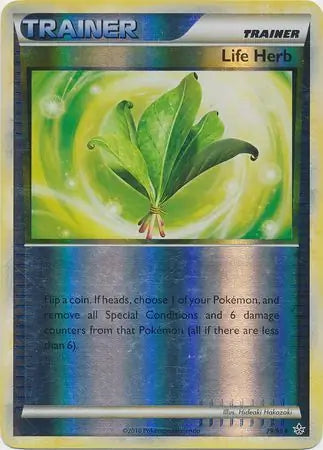 Life Herb 79/95 - Unleashed