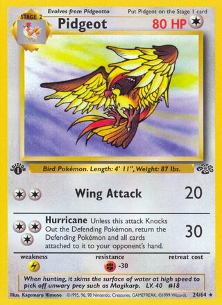 Pidgeot 24/64 - Jungle - HP - front