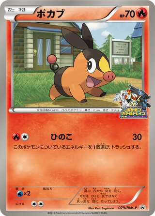 Tepig - Black & White Promos