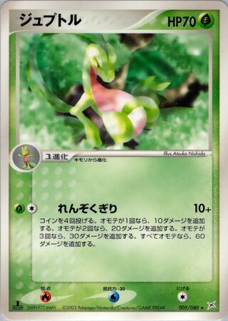 Grovyle 005/080 - Magma vs Aqua: Two Ambitions
