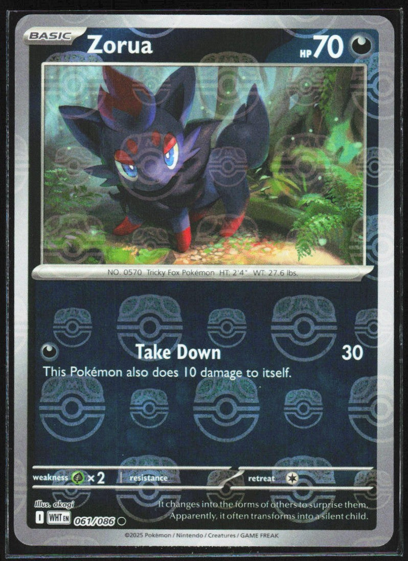 Chaos Sort CS-0552-004: forside