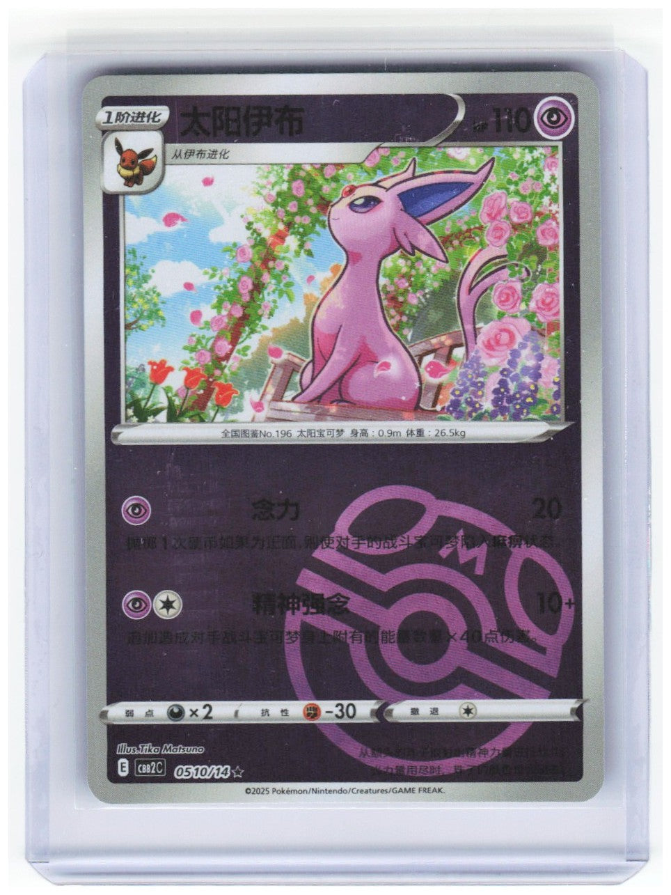 Chaos Sort CS-0384-004: forside