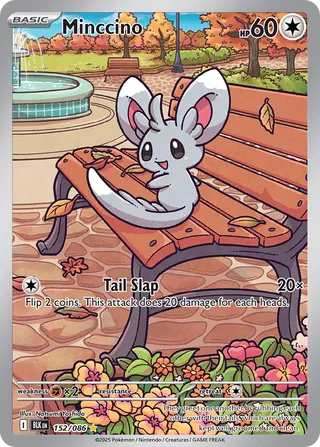 Minccino 152/086 - Black Bolt