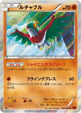 Hawlucha 060/096 - Rising Fist