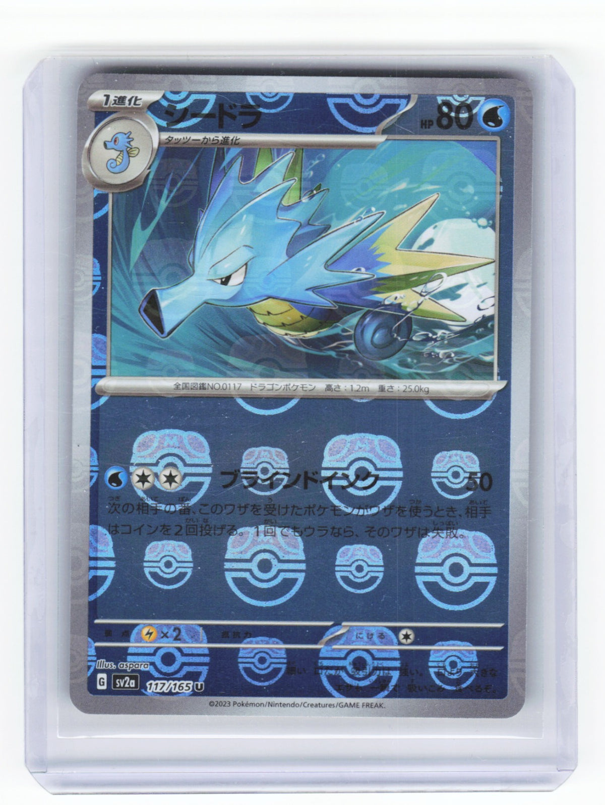 Chaos Sort CS-0335-019: forside