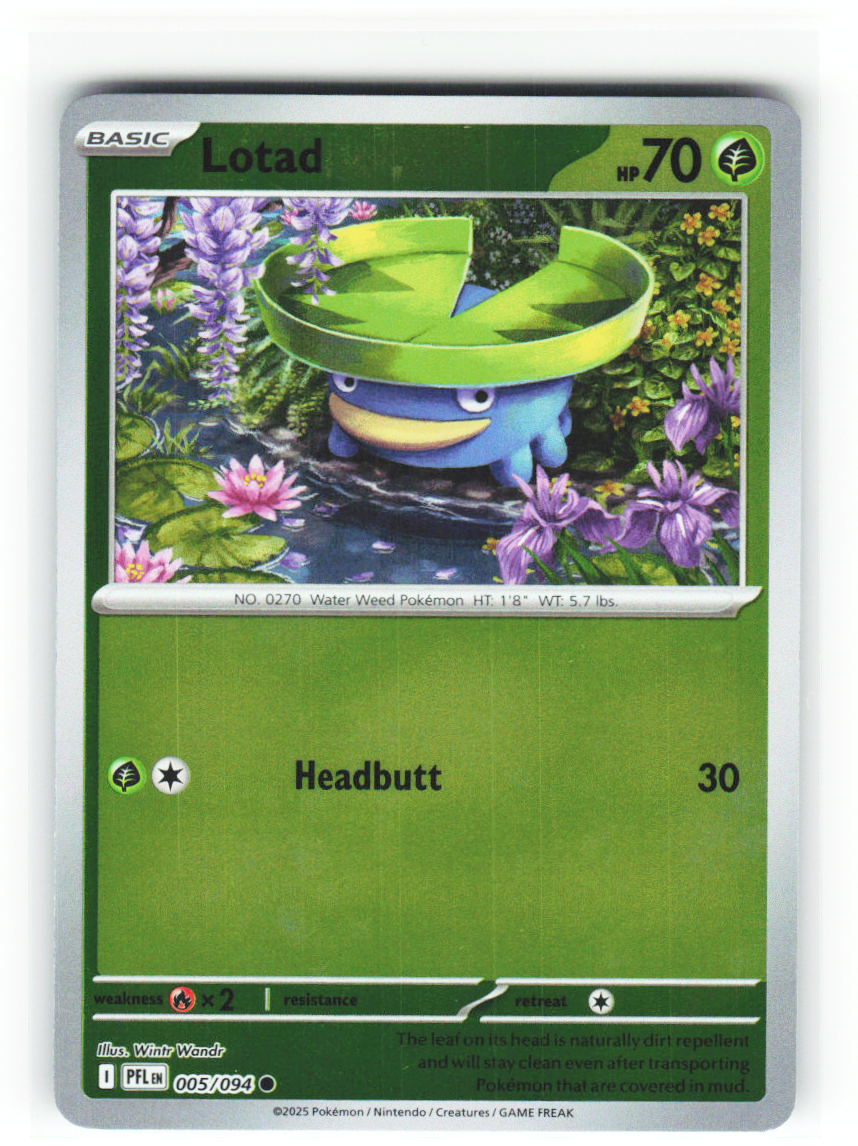 Lotad 005/094 - Phantasmal Flames - NM (ID: 53125425692964) - front