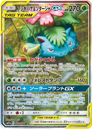 Venusaur & Snivy-GX 066/064 - Remix Bout