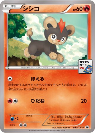 Litleo - XY Promos