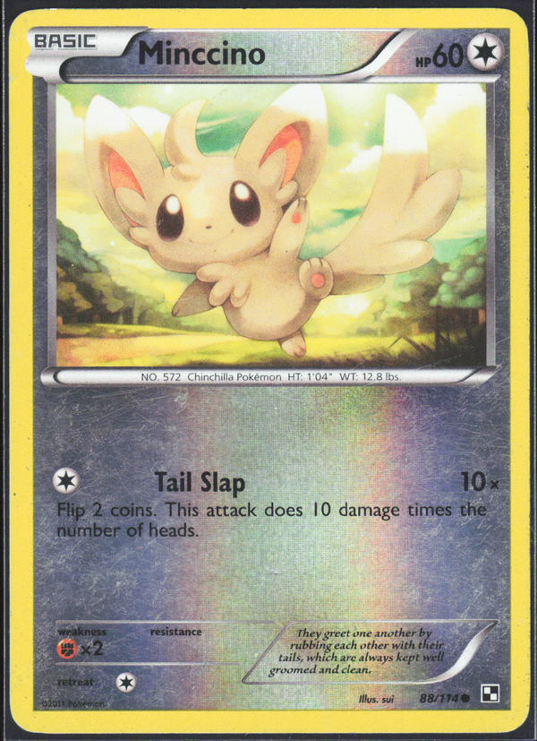 Minccino 88/114 - Black and White