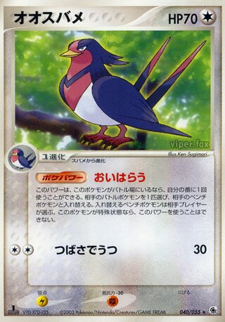 Swellow 040/055 - ADV Expansion Pack