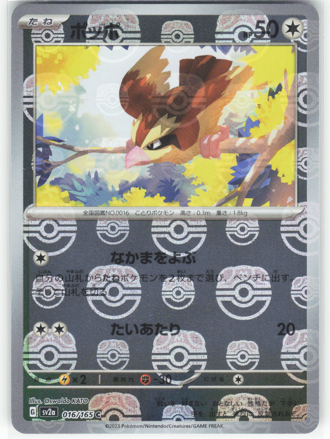 Chaos Sort CS-0335-024: forside