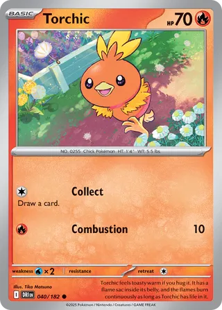 Torchic 040/182 - Destined Rivals
