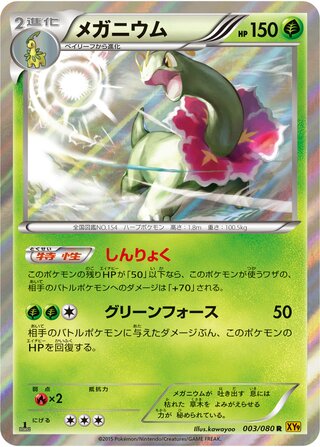 Meganium 003/080 - Rage of the Broken Heavens