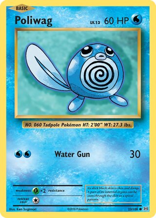Poliwag 23/108 - Evolutions