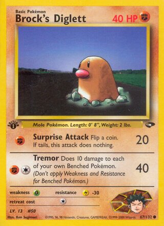 Brock's Diglett 67/132 - Gym Challenge