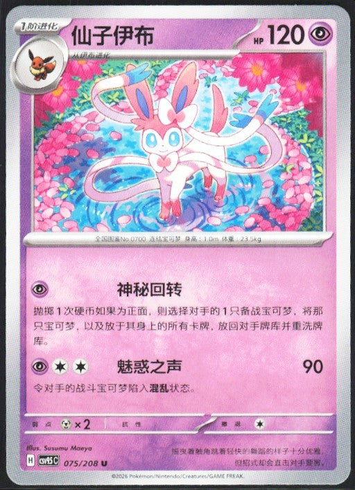 Chaos Sort CS-0652-042: forside