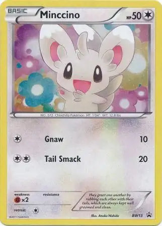 Minccino Ice Holo BW13 - Black and White Promos
