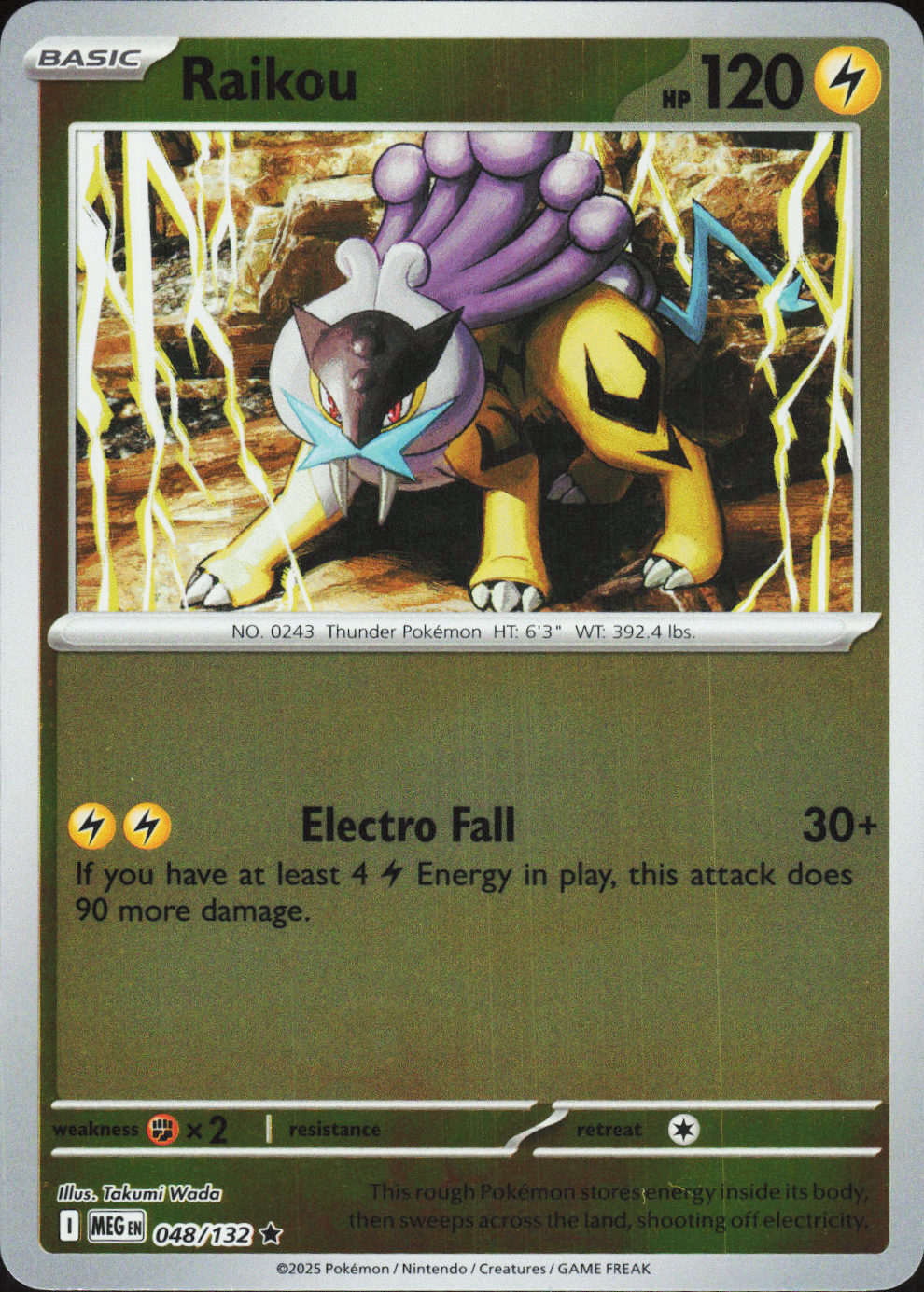 Raikou 048/132 - Mega Evolution Base