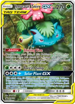 Venusaur & Snivy GX SM229 - Sun & Moon Black Star Promo