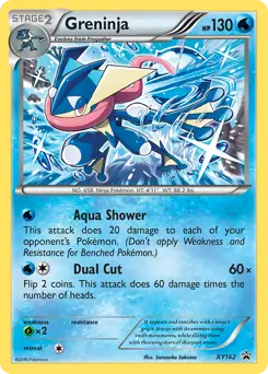 Greninja XY162 - XY Black Star Promos