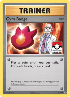 Gym Badge XY209 - XY Black Star Promos