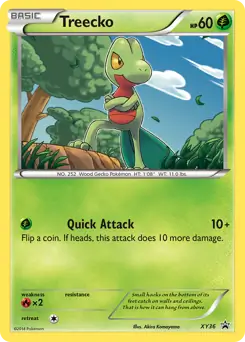 Treecko XY36 - XY Black Star Promos