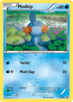 Mudkip XY38 - XY Black Star Promos