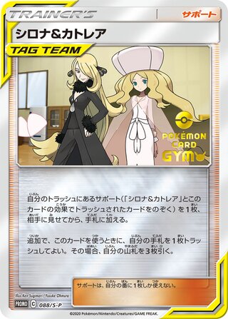 Cynthia And Caitlin Sword And Shield Promos 088 S P 088/S-P