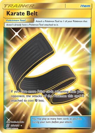 Karate Belt 252/236 - Unified Minds