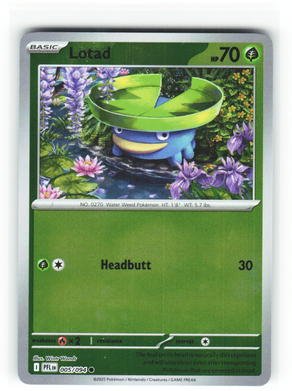 Lotad 005/094 - Phantasmal Flames - NM (ID: 53125425647100) - front
