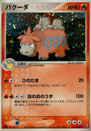 Camerupt 013/055 - ADV Expansion Pack
