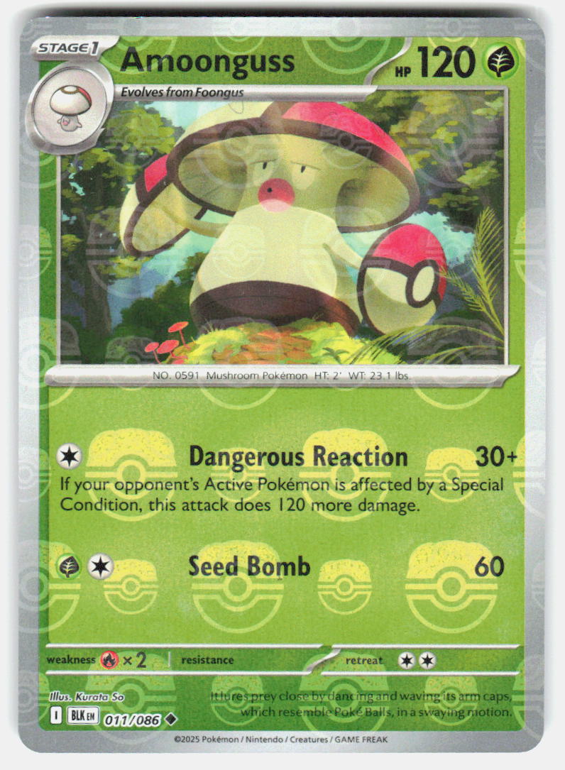 Chaos Sort CS-0318-038: forside
