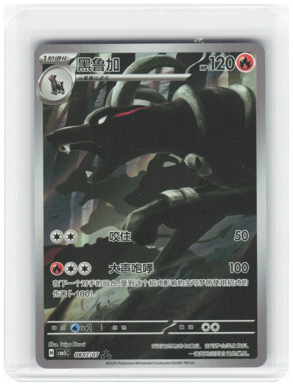 Chaos Sort CS-0348-062: forside