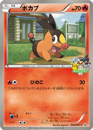 Tepig - Black & White Promos