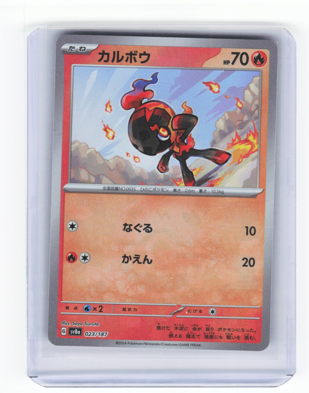 Chaos Sort CS-0335-005: forside