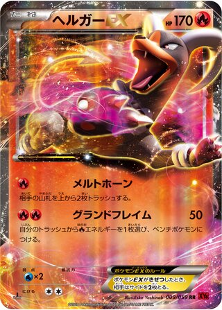 Houndoom ex Red Flash 009/059