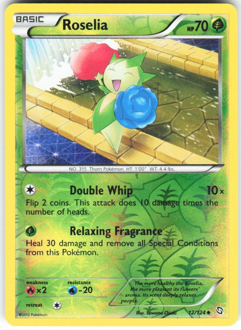 Chaos Sort CS-0424-056: forside