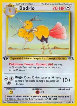 Dodrio 34/64 - Jungle