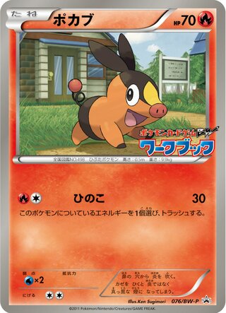 Tepig - Black & White Promos